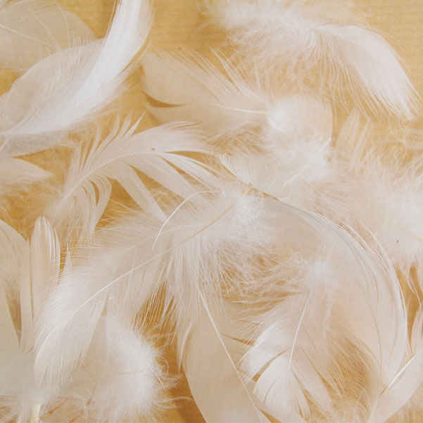 Recovery of organic materials and waste