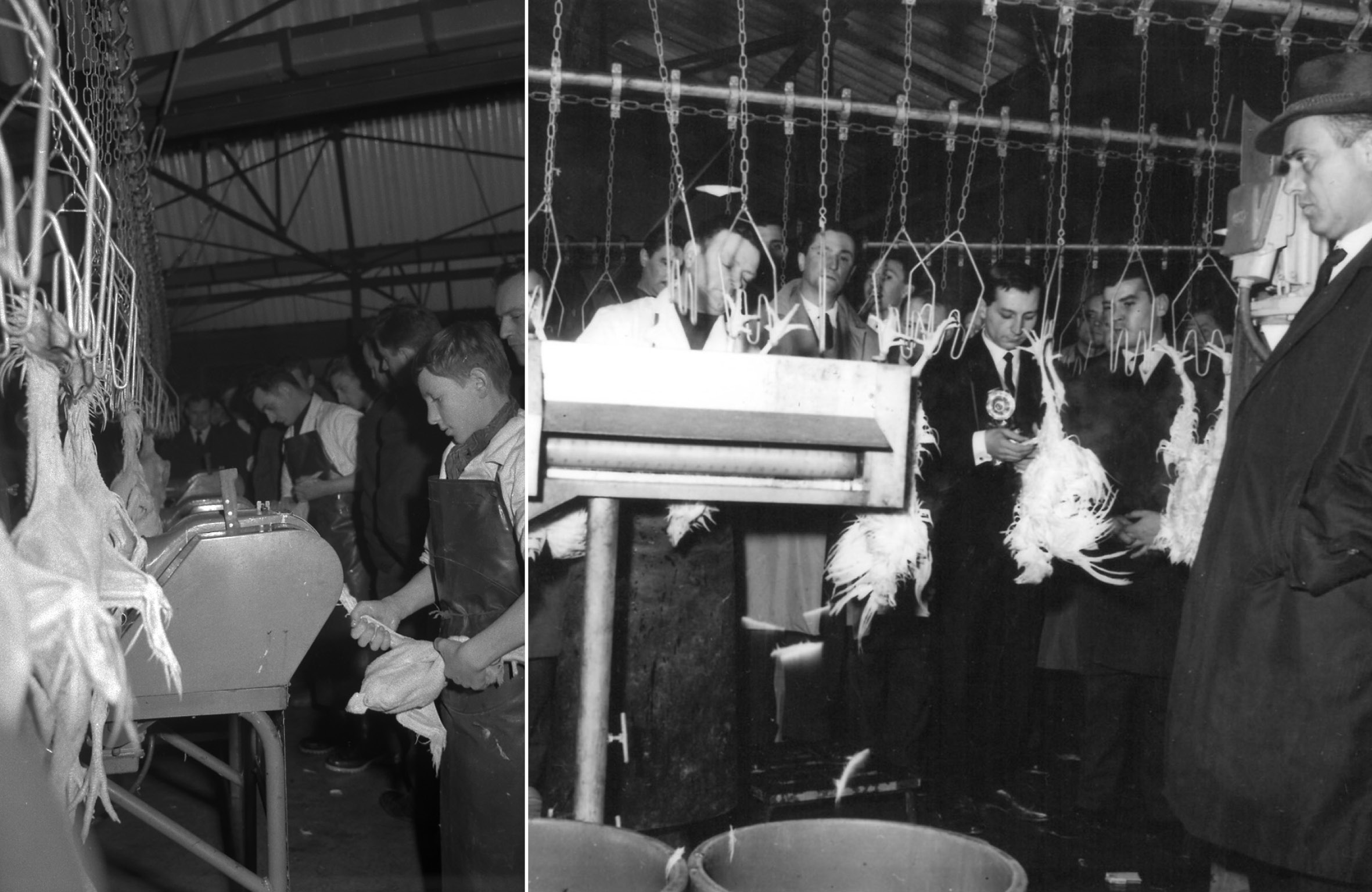 The “Lambert Volailles” slaughterplant.