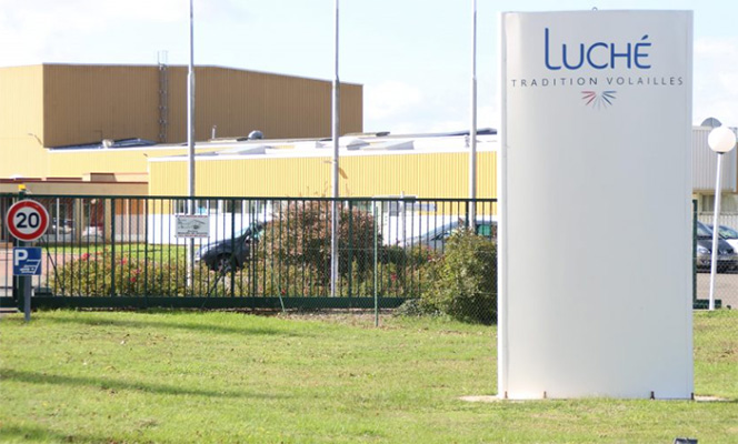 News LDC Group : Takeover of Luché Traditions Volailles in Luché Pringé