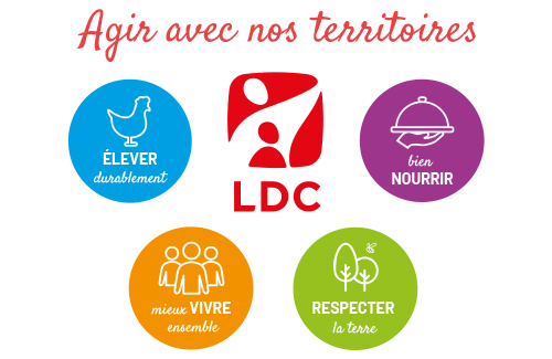Lancement de notre stratégie RSE 