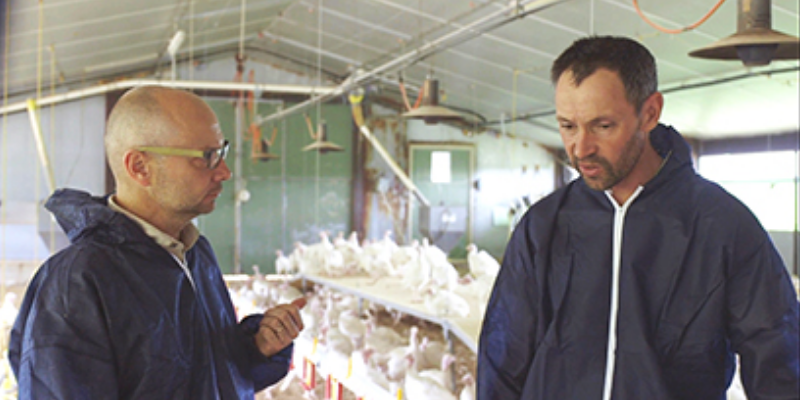 Accompagnement des éleveurs