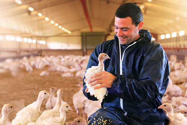 Notre pôle Amont France