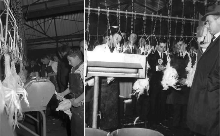 The “Lambert Volailles” slaughterplant.