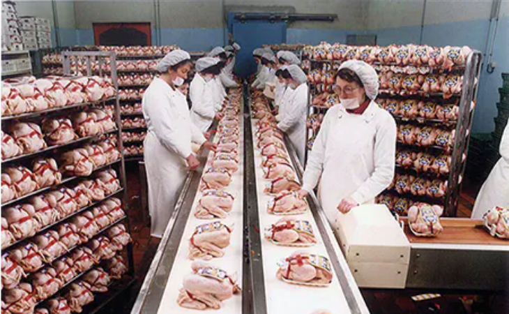 Whole Loué fowl and the first poultry cuts.