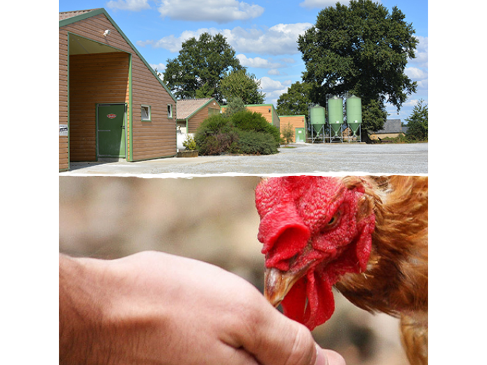Deploying our sustainable farming processes