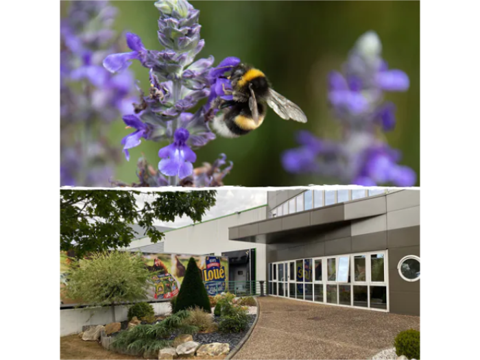 Atténuer notre empreinte