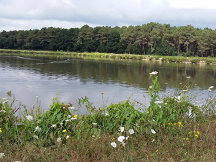 Agir pour préserver l'eau