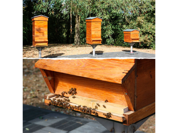 Agir pour la biodiversité