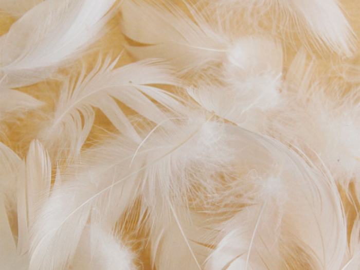 Recovery of organic materials and waste