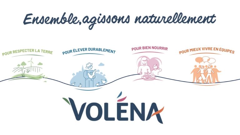 Déclinaison stratégie RSE Volena
