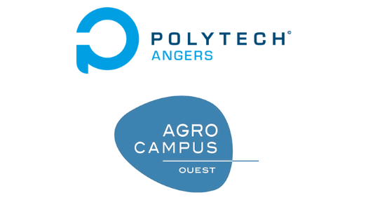 Logo Polytech Angers