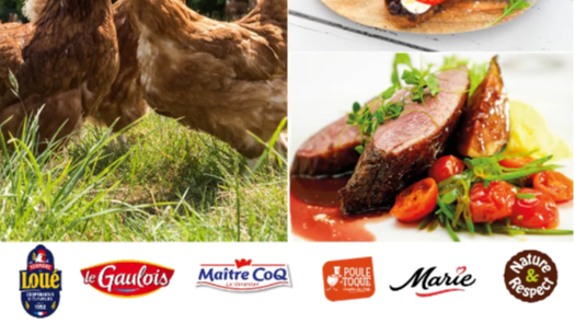 Résultats semestriels 2020-2021